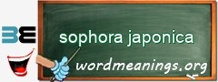 WordMeaning blackboard for sophora japonica